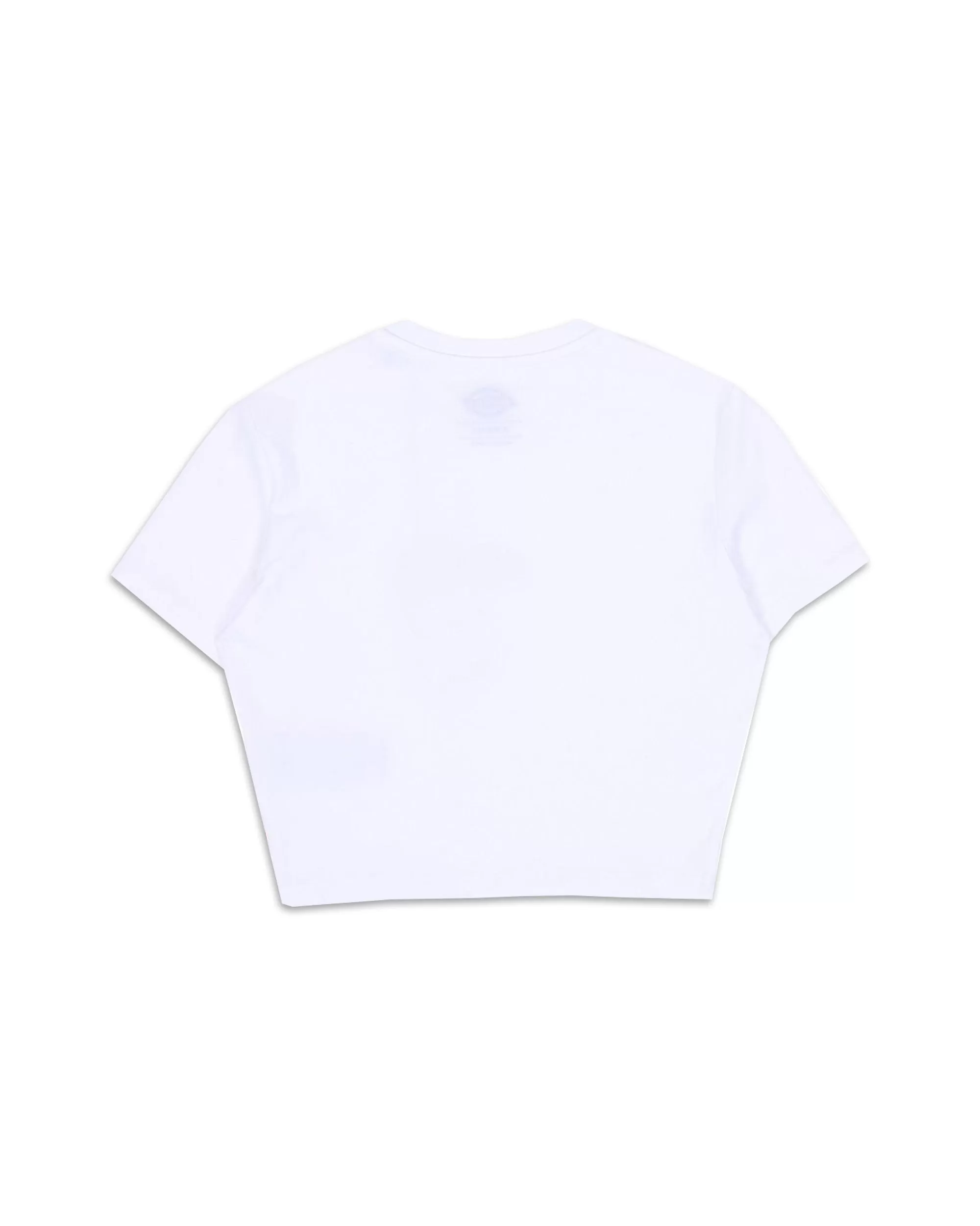 T-Shirt Dickies Maple Valley T-shirt Bianco